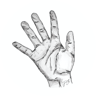 la chirurgie de la main logo 3 la chirurgie de la main